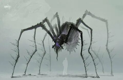 Spider concept