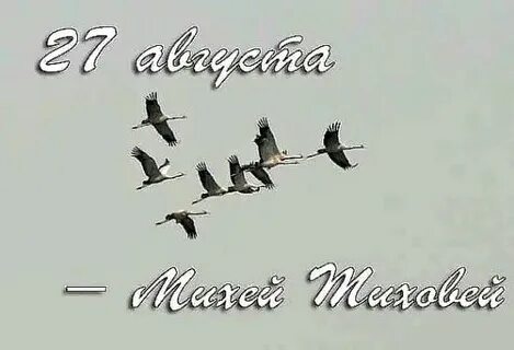 Михей тиховей