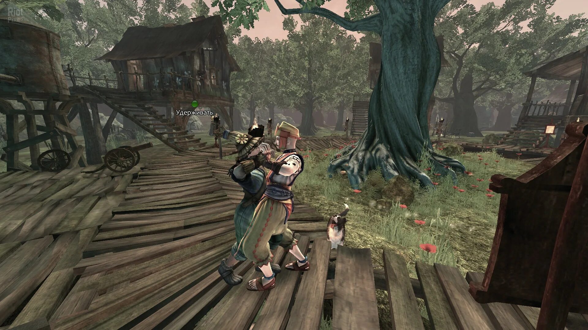 Fable cottage. Фейбл 3. Fable игра. Fable кооператив. Fable 96.