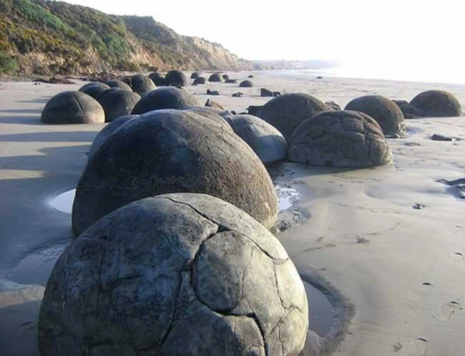 растущие камни трованты. как называются круглые камни. как называются круглые камни. камень круглой формы. сферические валуны новая зеландия.