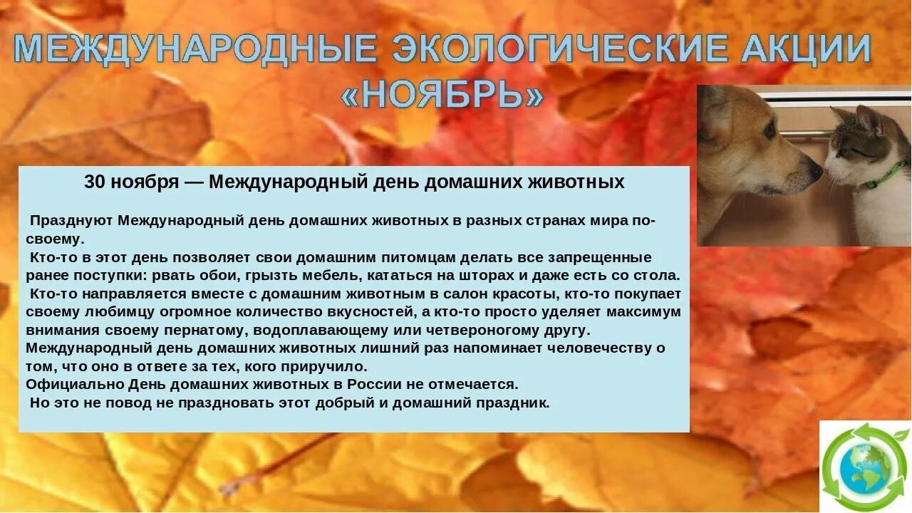 30 ноября день животных. 30 Ноября день домашних животных. Международный день животных 30 ноября. Международный день домашних питомцев. Всемирный день домашних животных отмечается 30 ноября.