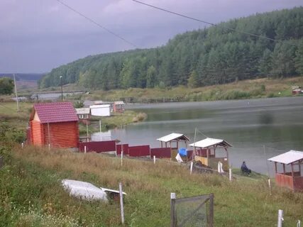 Пруд прилепы
