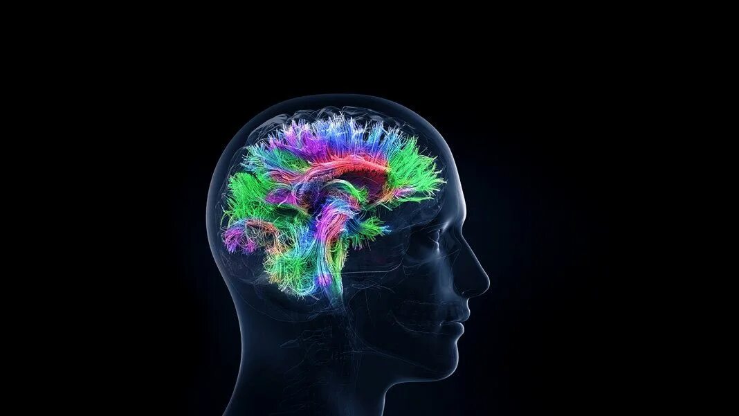 High brains. Fusion Brain нейросеть. It мозг. Заставки на рабочий стол мозг 3d.