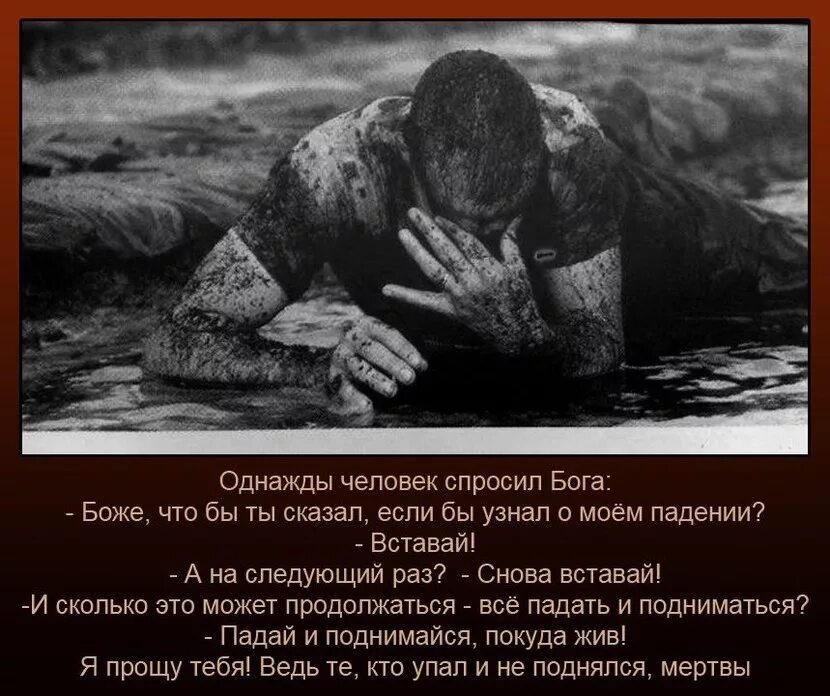 Сердце мне кричало нету идеала
