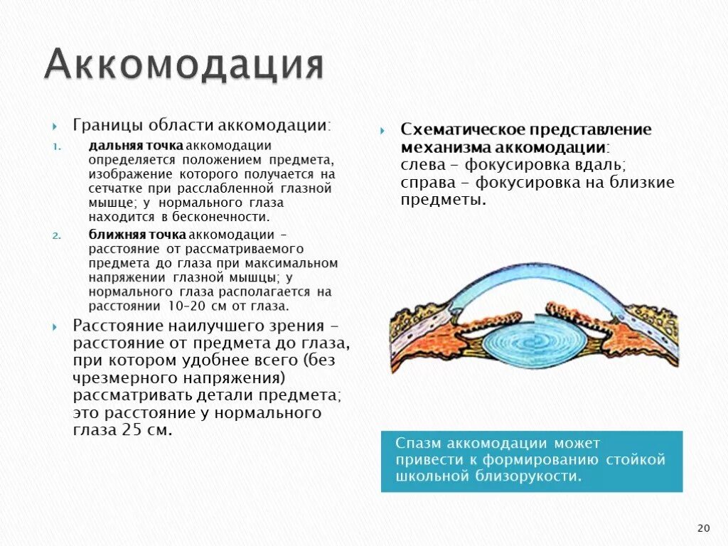 Заболевания аккомодации. Спазм аккомодации хрусталика. Аккомодация аккомодационный аппарат. Физиологические механизмы аккомодации глаза кратко. Аккомодация механизм аккомодации спазм аккомодации.