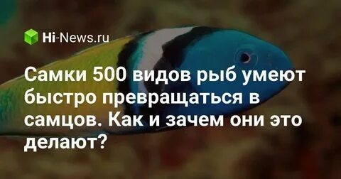 Когда меняют пол