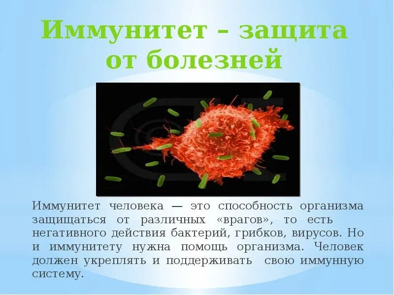 Иммунитет человека. Иммунитет презентация. Иммунитет защита организма. Защитные функции организма. Защита организмов презентация