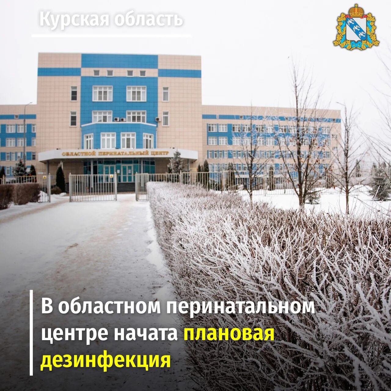 Перинатальный центр ростов. Перинатальный центр курск на клыкова. Перинатальный центр закрывается. Курский областной перинатальный центр. Перинатальный центр закрывается.