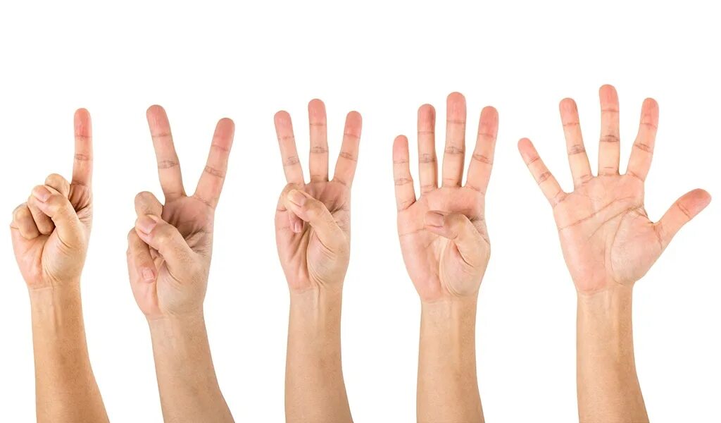 четыре пальца вверх