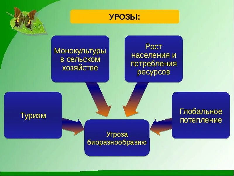 Разнообразие угроз. Угрозы биоразнообразию. Угрозы сохранение биологического разнообразия. Угрозы биологическому разнообразию. Угрозы уменьшения биоразнообразия.