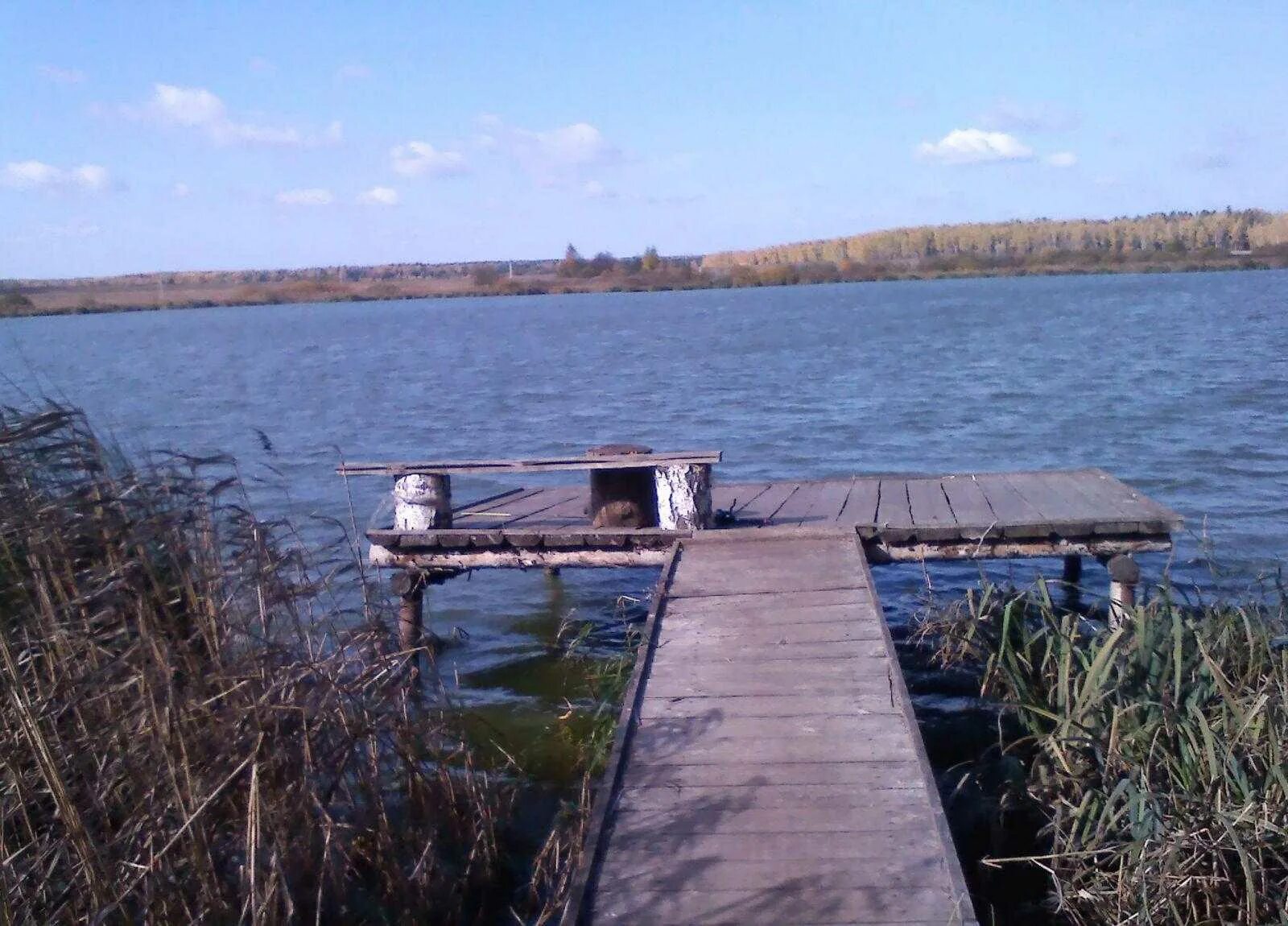 Платная рыбалка. Платное озеро для рыбалки. Платные водохранилища. Озеро для рыбалки в Московской области. Платные озера для рыбалки