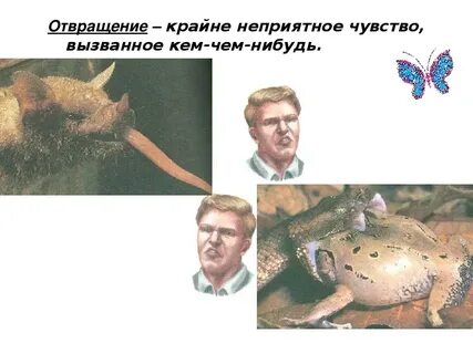 Субъективные реакции человека переживания отражающие отношение