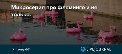 Стих про фламинго