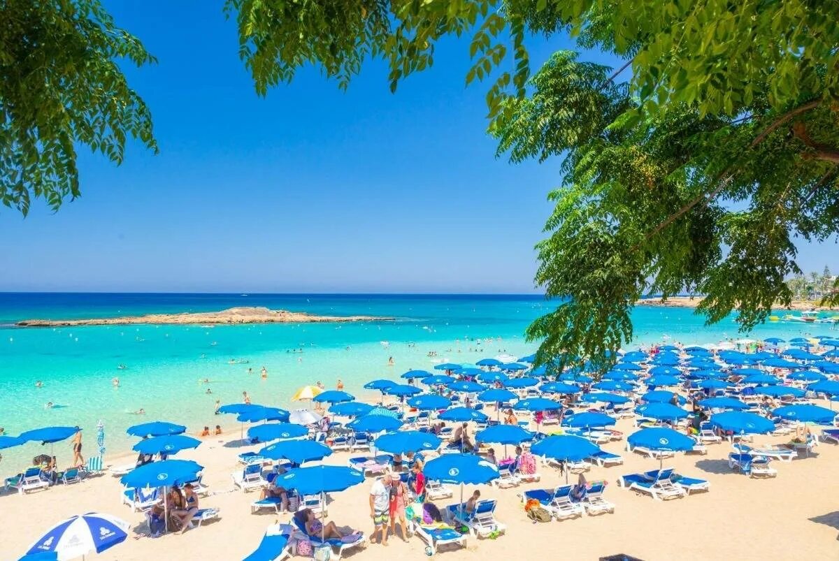 Пляж фигового дерева Протарас. Фиг три Бэй Протарас. Пляж фигового дерева Кипр. Пляж Fig Tree Bay Кипр. Пляж фигового дерева
