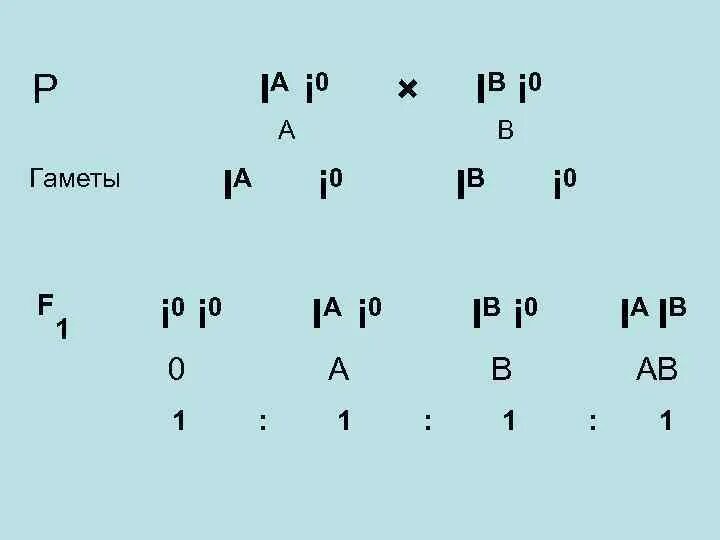 Гаметы тригетерозиготы. Гаметы ААВВСС. Тригетерозигота дает гаметы. Число гамет у тригетерозиготы.