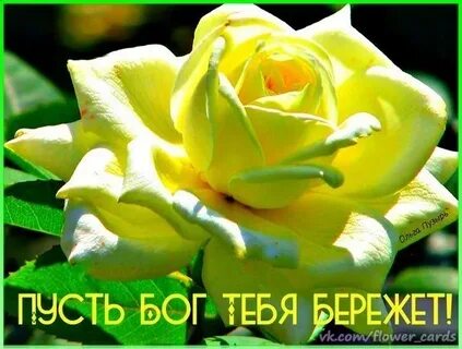 Пусть сама