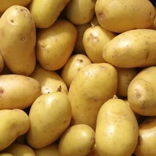 Картофель ласунок