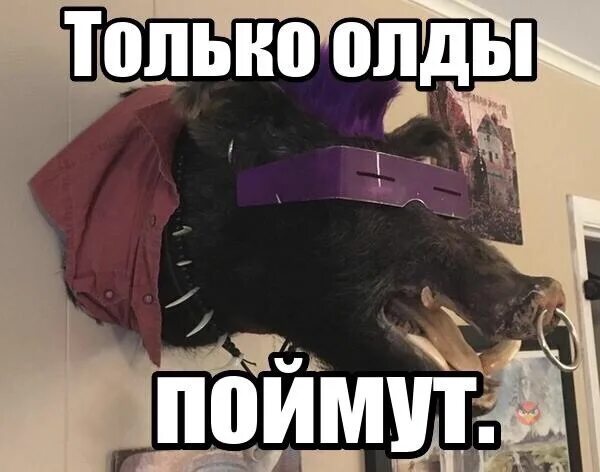 Что значит олд. Шутки про олдов. олды мемы. олд мем. мемы про олдов.