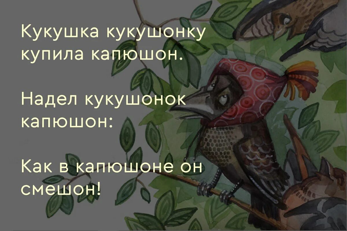 Скороговорки кукушка кукушонку. Купил кукушонок капюшон. Купил кукушонок капюшон. Купил кукушонок капюшон. Кукушка кукушонку купила капюшон скороговорка.