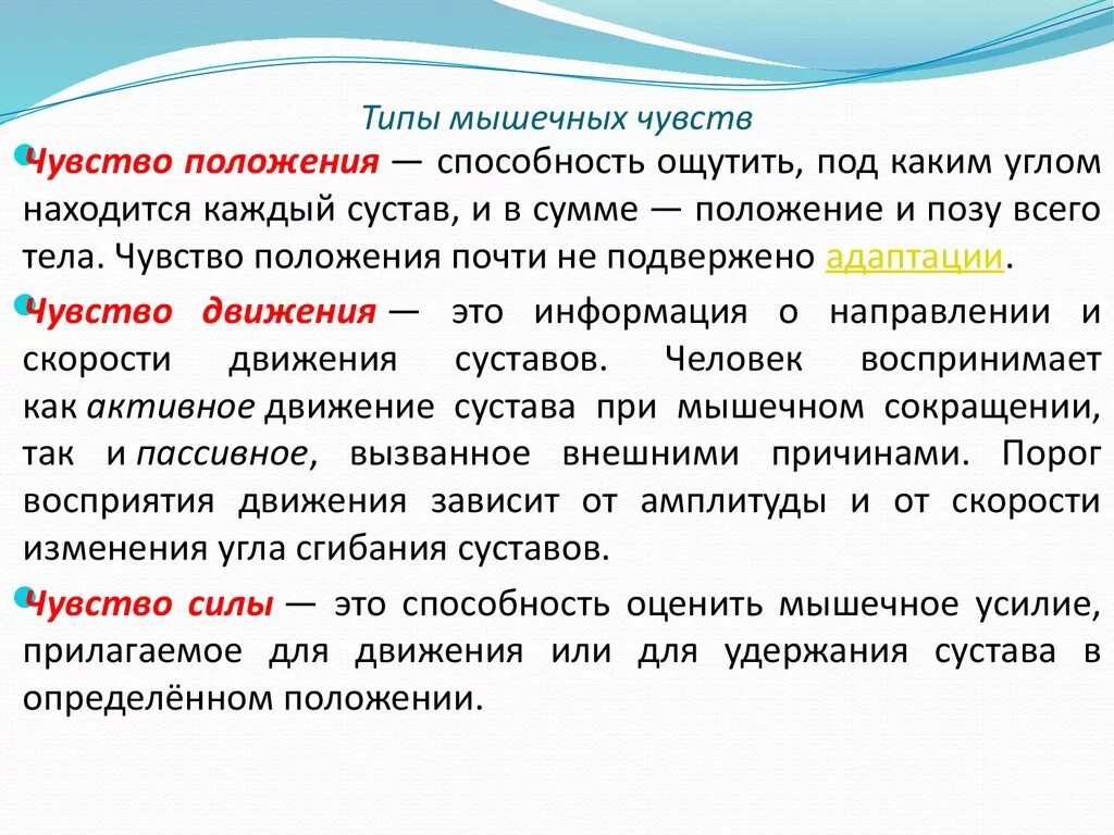 Где находится мышечное чувство. Мышечное чувство кратко. Мышечное чувство строение и функции. Строение кожно мышечного чувства. Рецепторы мышечного чувства.