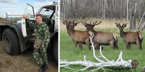 Охота на охоту тюменская область
