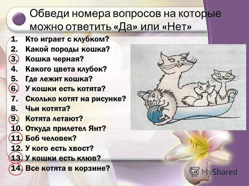 Вопросы на которые можно ответить да. Вопросы на которые отвечают да или нет. Вопросы с ответом да или нет. Вопросом на вопрос.