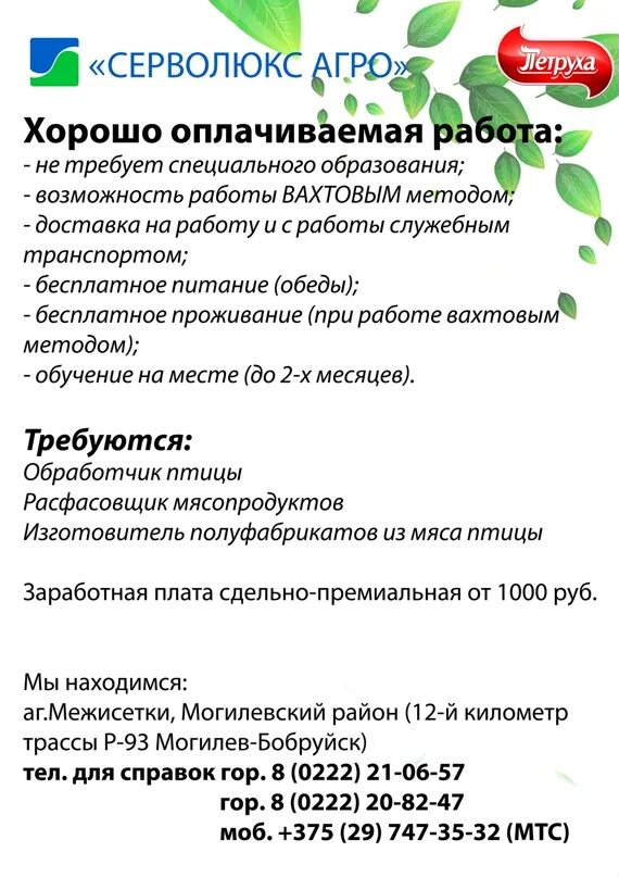 Работа могилев свежие вакансии для мужчин водителем. Работа в Могилеве. Серволюкс. Серволюкс Беларусь. ООО Серволюкс Посад.