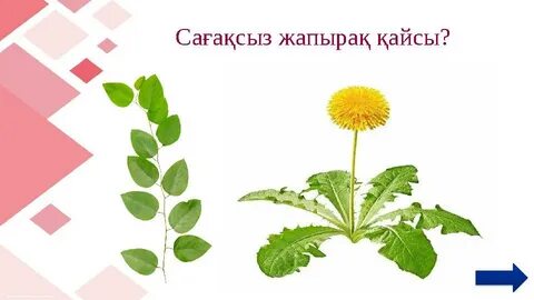 HD форматындағы жас ғашықтар арасындағы керемет әдемі секс