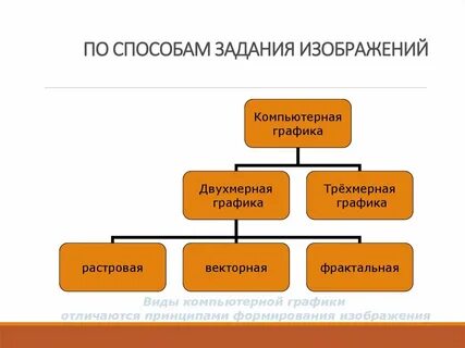 Виды компьютер графики