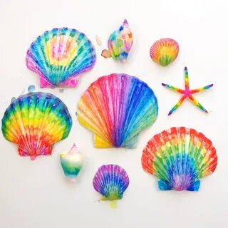 Радужная ракушка