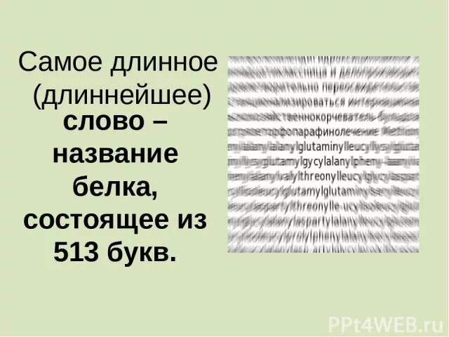 Самое длинное слово. Какое самое длинное слово. Длинные слова. Самое большое слово. Название самого длинного слова