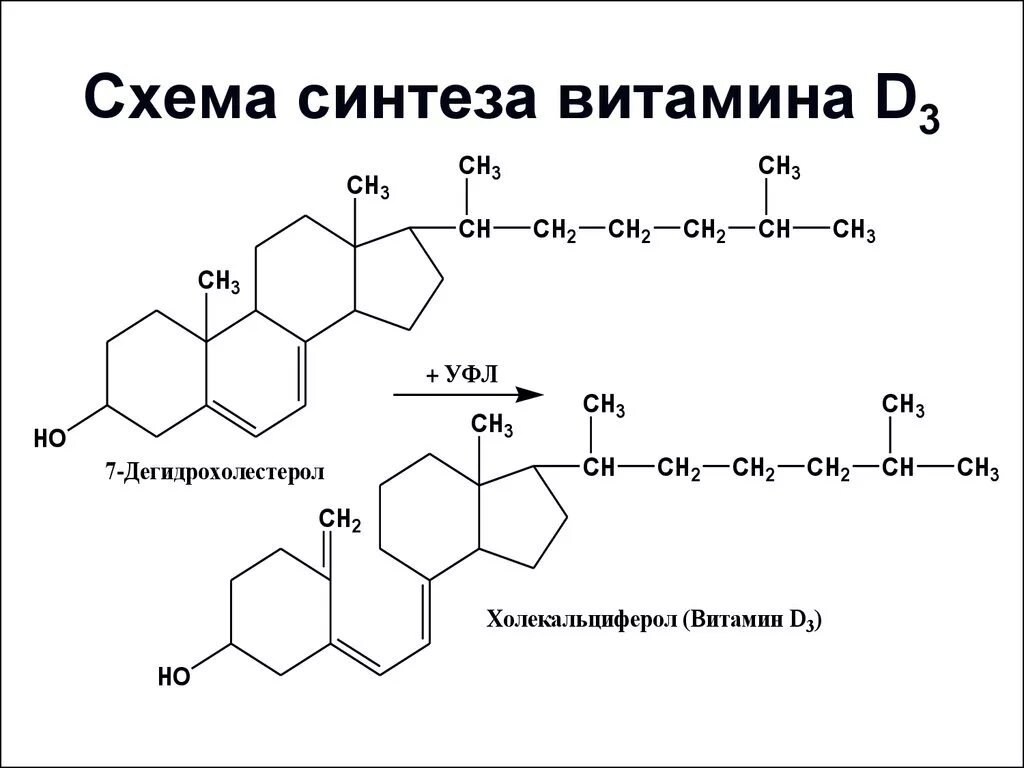 Биосинтез витаминов. Синтез витамина д2 схема. Схема синтеза витамина д3. Синтез витамина d3 биохимия. Синтез витамина д2.