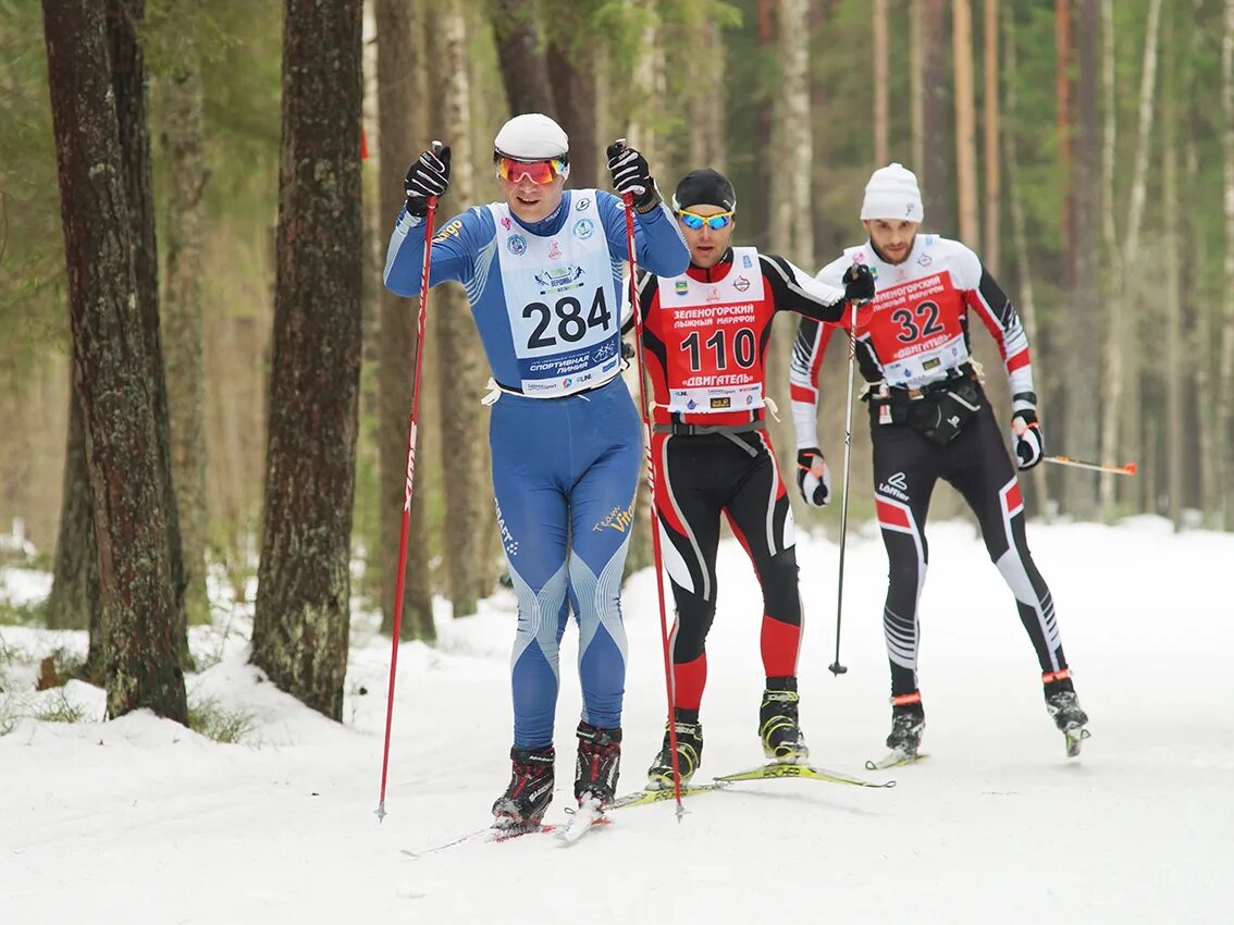 Моторное 2017