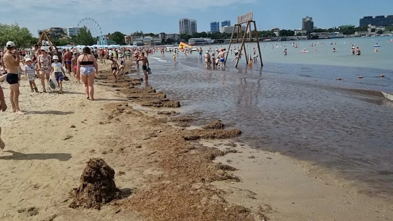 Анапа море центральный пляж. Анапа пляж сегодня. Показала на пляже. Анапа август 2020 центральный пляж. Центральный городской пляж анапа.