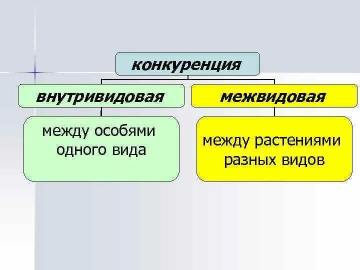 Типы отношений между растениями. Внутривидовые биотические факторы. Биотические факторы конкуренция примеры. Соперничество между растениями. Внутривидовые факторы.