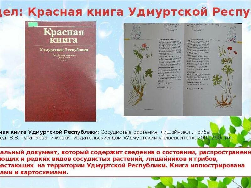 Красная книга удмуртии животные. Растения и животные занесенные в красную книгу Удмуртии Удмуртии. Растения Удмуртии занесенные в красную книгу. Животные красной книги Удмуртии. Красная книга Удмуртской Республики книга.