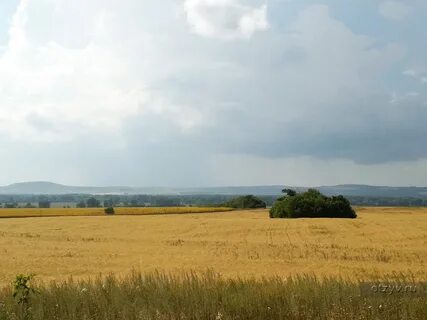 Желтое оренбургская область