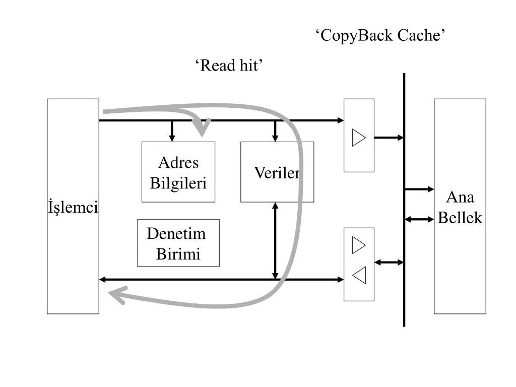 Read cache. Copyback raid. cache hit and miss. copyback status psicial drive.