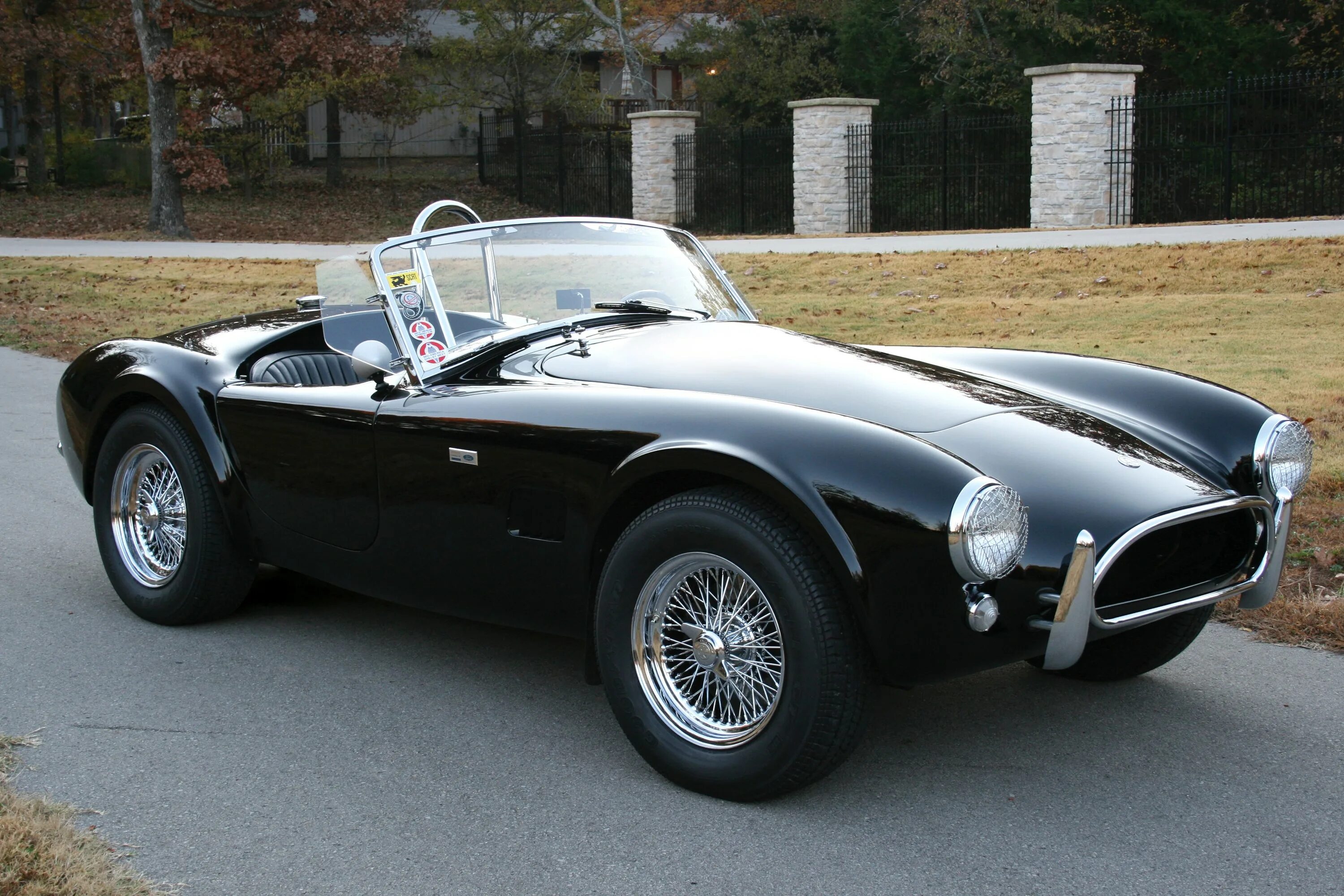 Cobra c. Shelby Cobra 289. Shelby Cobra 1965. AC Shelby Cobra. AC Cobra 1965.