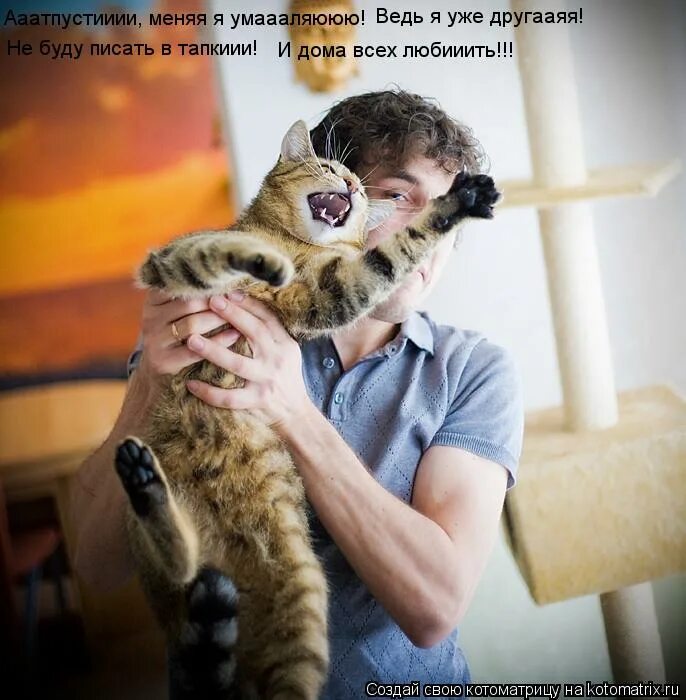 Хочу быть дома. Прикольные картинки с надписями. Котенок на кухне. Рисованные женщины на кухне. Девушка в интерьере.