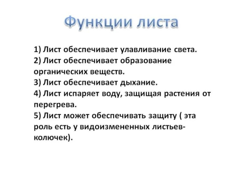 Значение 6. Перечислите функции листа. Основные функции листа биология 6 класс. Функции листа 6 класс кратко. Функции листа 6 класс биология кратко.