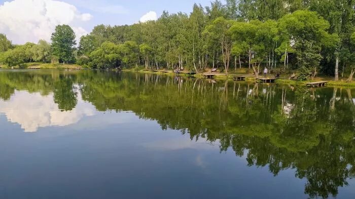 Сосенский пруд. Пруд сосенки. Клуб рыболов сосенки. Сосенки платная рыбалка. Пруд сосенки.