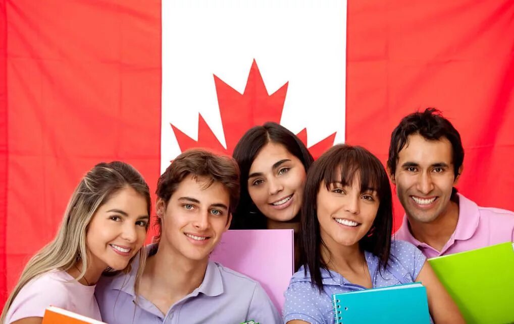 Experience canada. Experience canada. Experience canada. International experience. Конадец интернационал.