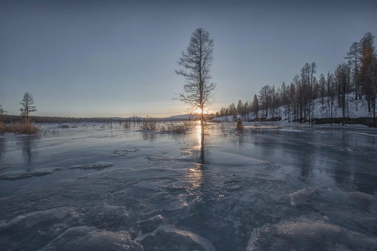 Якутия апрель. Природа якутии апрель. весенняя природа якутии. подснежники саха якутия. саха сирин айыл5ата.
