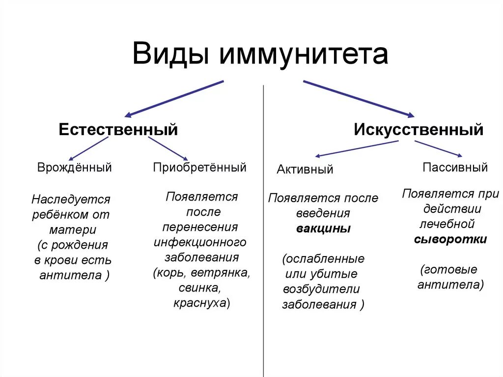 Классификация иммунитета схема. Схема классификации видов иммунитета. Формы иммунитета схема. Приобретенный иммунитет схема. Естественный иммунитет особенности