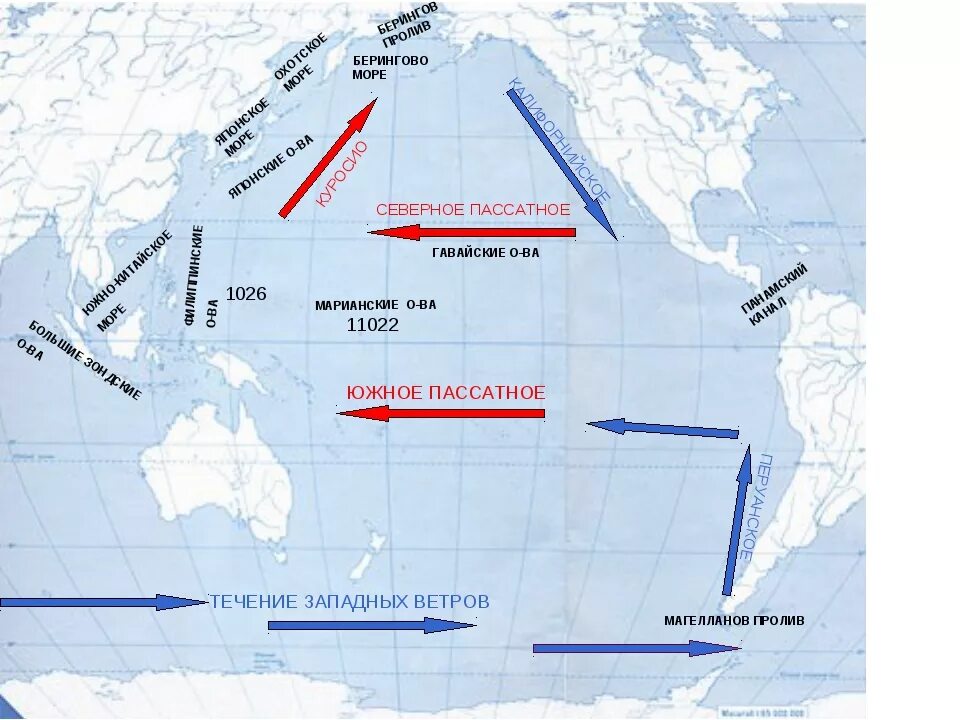 Какие течения омывает тихий океан. Холодное течение Курило Камчатское на карте. Курило Камчатское течение на карте Тихого океана. Куросио в Беринговом море. Камчатское течение на карте Тихого океана.