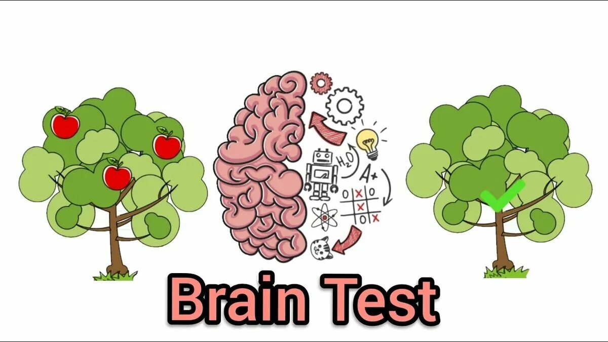 Видео brain test