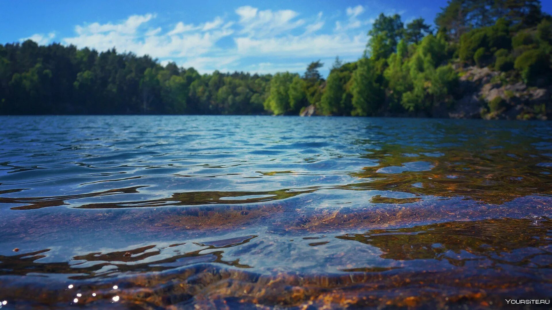 В прозрачной воде снуют шустрые. Озеро Сапшо Смоленская область. Высокинское озеро. Высокинское озеро пляж. Озеро Яльчик.