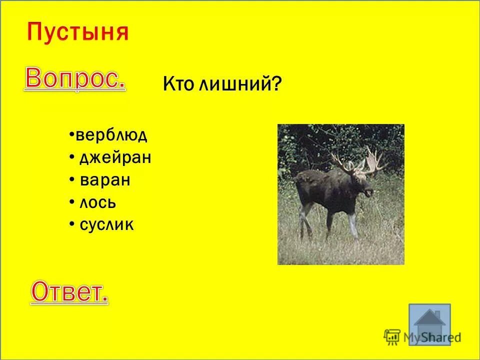 зона пустынь. пейзаж пустыни. пустыня хамада де тинрерт. сахара оазис египет. человек в пустыне.