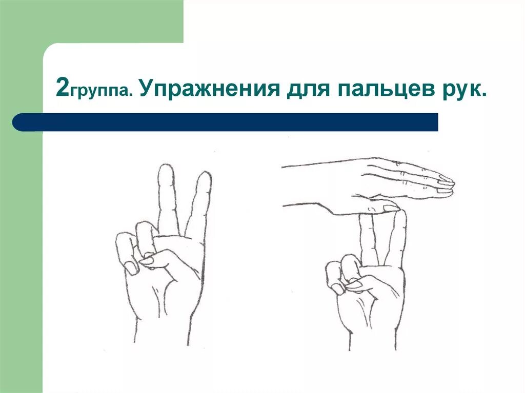 Дифференцированные движения пальцев. Упражнения для пальцев. гимнастика для пальцев рук. упражнения для кистей рук и пальцев. упражнения для развития пальцев рук.